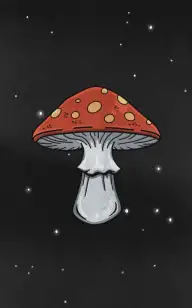 Intergalactic Shroom