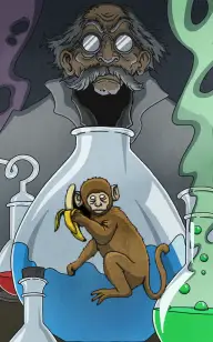 The Chimp Experiment