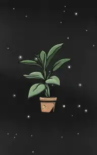 The Plant Lost in Space