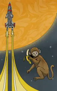 The Ape Through Space