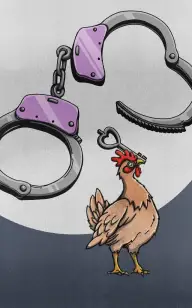 Poor Rooster, You're Mine!