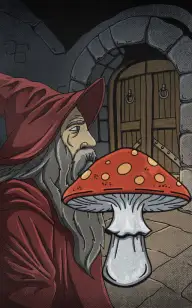 The Toadstool Spellcaster